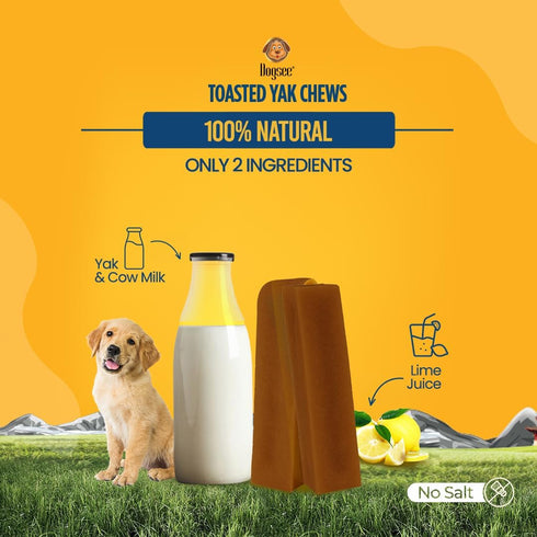 4 Dogsee Toasted Yak Cheese Himalayan Dog Chews (Large- Chews) | Extra Long-Lasting | Double Cooked for Extra Smoky