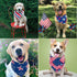 2 Pack Dog and Cat Bandanas - Washable Adjustable Triangle Pet Scarf Bibs for Small, Medium, Large Dogs and Cats