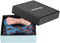 Blueberry Pet Gift Box with 2 Handmade Dog Cat Bow Tie, Paisley Designer Bowtie Set, 4" x 2.5"