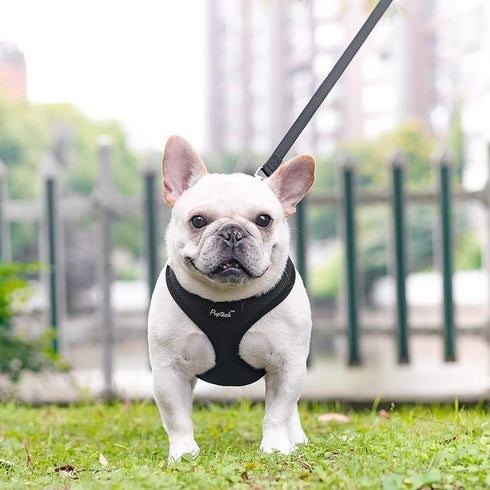 PUPTECK Soft Mesh Dog Harness and Leash Set - Comfort Padded Vest No Pull Harnesses for Pets, Solid Black, M