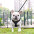 PUPTECK Soft Mesh Dog Harness and Leash Set - Comfort Padded Vest No Pull Harnesses for Pets, Solid Black, M
