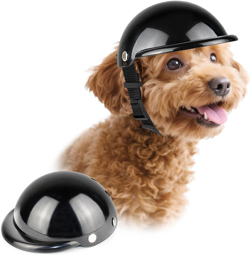 Lesypet Black Small Dog Helmet for Motorcycle Biking Safety Hat