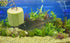 Fish Tank Vegetable Feeder - Aquarium Vegetarian Feeder, Bottom Sinking Fish Feeder, 5PCS