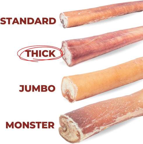 Bully Bunches Premium 6 Inch Thick Odor-Free Bully Sticks for Small & Medium Dogs, Long Lasting Chews for Oral Care, 10