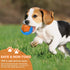 Dog Squeaky Toys, Pool Toys, Floating Toys for Interactive Fetch & Play