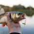 Generic Set 1.77 Inches Fishing Lure - Artificial Reflective Tail Bait - Reflective Tail Fishing Lures for Bass