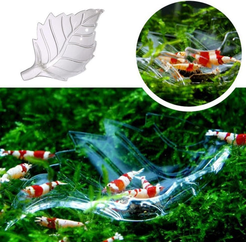 APGLSXY Stylish Leaf Design Acrylic Feeder Bowl for Shrimp Crabs and Small Fishtanks Pet