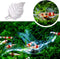 APGLSXY Stylish Leaf Design Acrylic Feeder Bowl for Shrimp Crabs and Small Fishtanks Pet