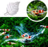 APGLSXY Stylish Leaf Design Acrylic Feeder Bowl for Shrimp Crabs and Small Fishtanks Pet
