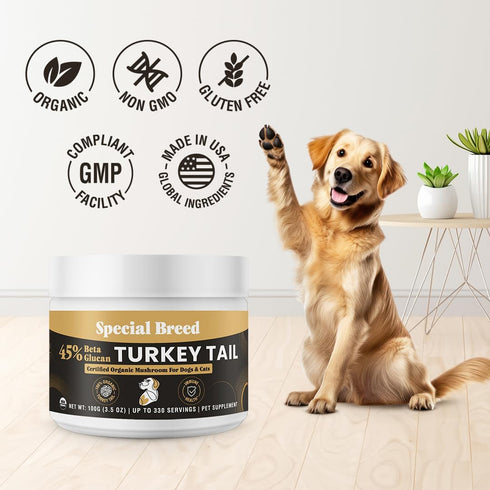 45% Immune 330 Organic Turkey Tail Mushroom for Dogs and Cats, Beta Glucan Standardized, Hot Water Extracted Whole
