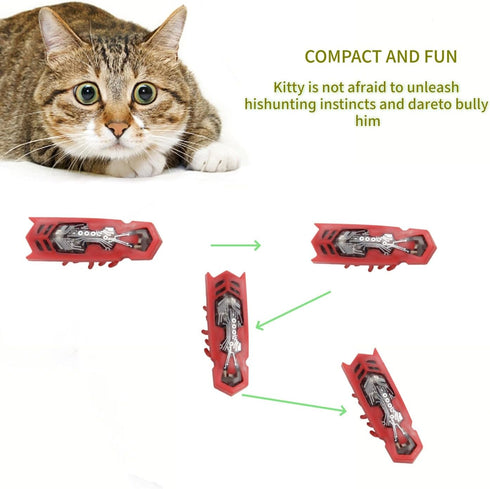 SHXMWINSY 2PCS Cat Interactive Teaser Toys Electric Moving Beetle Mini Electric Robot Beetle Electric Funny Interactive