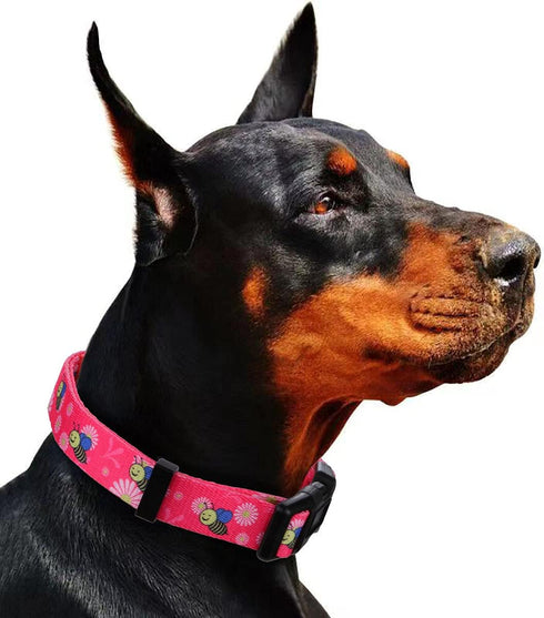 Rhea Rose Pink Dog Collar - Summer Daisy and Bees Print for Large Dogs