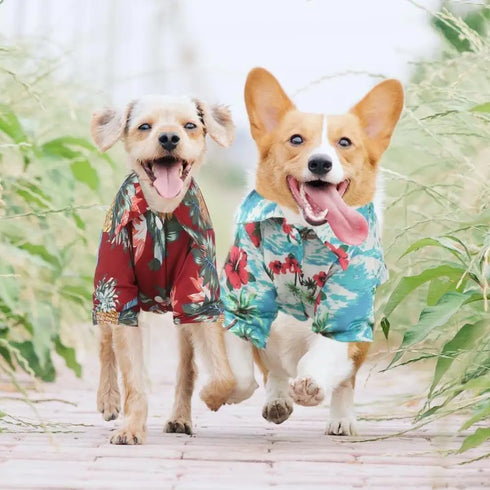 1 Pcs Hawaiian Pet Dog Polo T-Shirt, Coconut Tree Print Summer Shirt for Pets (4XL, Royal Blue)