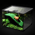 Turtle Basking Platform, Tortoise Ramp Reptile Tank Ladder Resting Terrace for Fish Tank Aquarium (14" X 4.7" X 4")