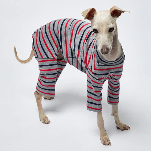 Basic Soft Dog Pajamas for Small Dogs - Stretchable Onesie Dog Jammies, Dog Shirt Bodysuit (Large, Stripe Gray)