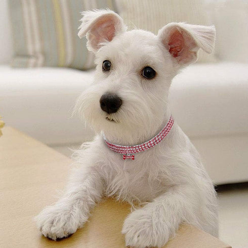 Dogs Kingdom Amazing 3 Rows Rhinestones Necklace Pet Collar, Bling Bone Jewelry for Cat Dog Wedding Accessories, Red,