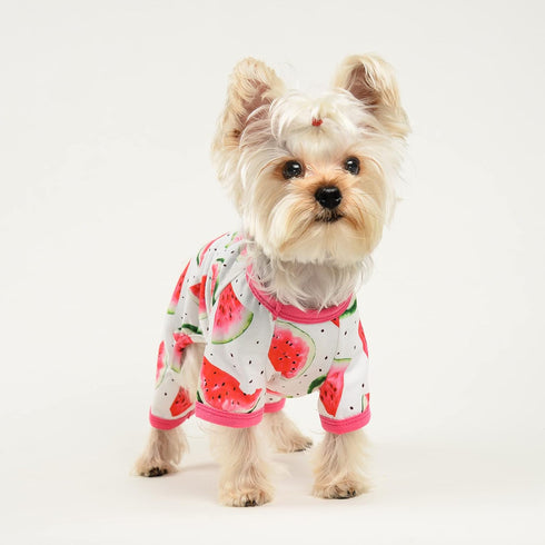 Dog Pajamas for Small Dogs - Summer Pet Onesies for Chihuahua Yorkie Teacup, Cute Soft Material (X-Small, Watermelon)