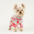 Dog Pajamas for Small Dogs - Summer Pet Onesies for Chihuahua Yorkie Teacup, Cute Soft Material (X-Small, Watermelon)