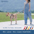 Dog Leash, 15mm Grey, 360° Tangle-Free, Heavy Duty Strong Nylon, Retractable and Hands-Free Design for Small and Medium