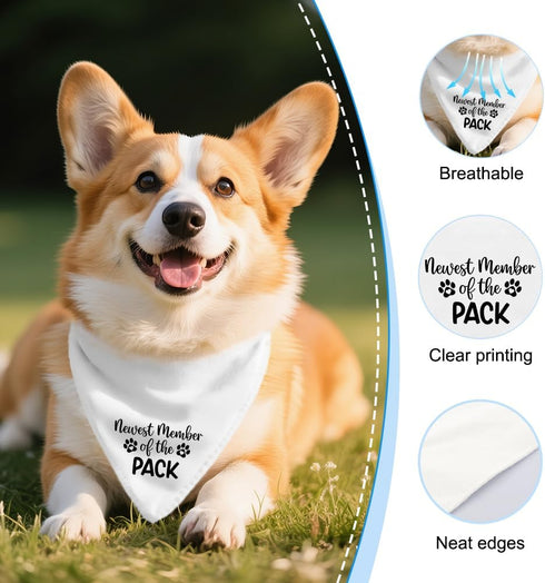 Vgrti Pack New Member of The Funny Dog Bandana, New Puppy Bandana, Cute Pregnancy Announcement Pet Scarf Accessories