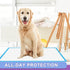 IMMCUTE Puppy Pee Pads 22"x23"-150 Count - Super Absorbent & Leak-Proof Disposable Pet Piddle and Potty Pads for