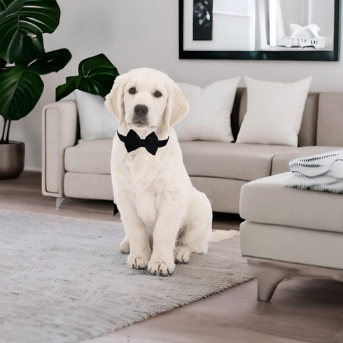 Dog Collar with Bowtie, Soft Velvet Material with Quick Release Buckle for Large Dogs (Black, L)