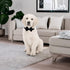 Dog Collar with Bowtie, Soft Velvet Material with Quick Release Buckle for Large Dogs (Black, L)