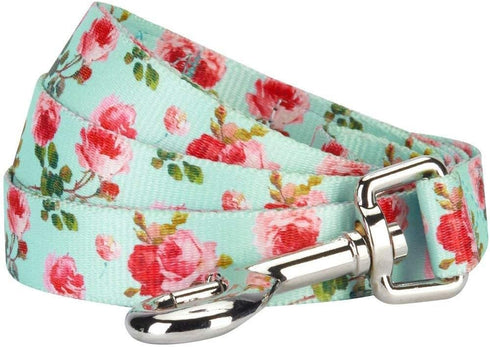 Blueberry Pet 9 Patterns Durable Floral Rose Print Dog Leash, 5 ft x 5/8", Turquoise, Spring Scent Inspired, Small