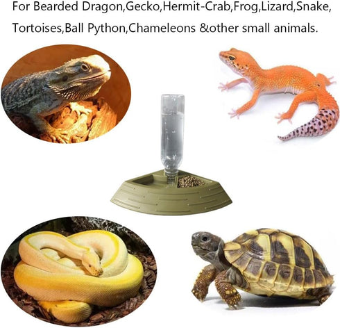 Reptile Feeder Bowl, Automatic Water Dish Dispenser, 2-in-1 Food and Water Feeding Bowls for Terrarium