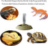 Reptile Feeder Bowl, Automatic Water Dish Dispenser, 2-in-1 Food and Water Feeding Bowls for Terrarium