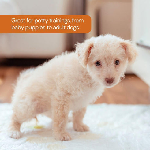 75 26x30 75 Count UltraCare Superabsorbent Leak Proof Odor Free Pet Friendly Puppy Pads, Best Potty-Training Disposable