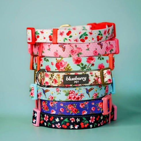 Cherry Garden Dog Collar with Dainty Flowers for Pets