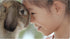 Selective Naturals Garden Sticks Pea & Mint for Rabbits, 2.1-Ounce