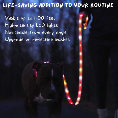 LED Dog Leash for Safe Evening Walks, High Visibility Light Up Leash, 6 Foot New Version for Dogs