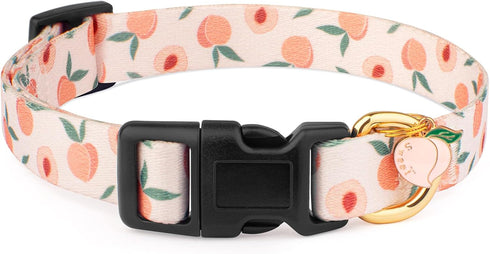Handmade Dog Collar for Small Medium Large Dogs, White Peach with Pendant, Ideal for Girl and Boy Dogs