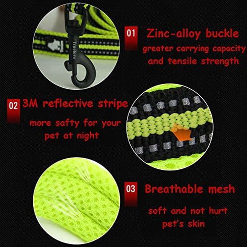 Creation Core Reflective Dog Leash Pink, Durable Padded Strap for Puppy, 6.5Ft Long, 1" Wide