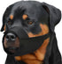 CollarDirect Adjustable Dog Muzzle Set of 2PCS, Soft Breathable Nylon Safety Mouth Cover for Small Medium Large Dogs,