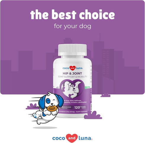 Joint Supplement for Dogs - 120 Chewable Tablets with Glucosamine, Chondroitin, MSM for Joint Pain Relief