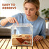 Rinelavie 3 1 Hermit Crab Underground Hideout Cave Corne in Multiple Shape Hermit Crab Climbing Accessories Hide
