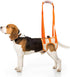 ROZKITCH Dog Lift Harness, Pet Rear Support Aid | Veterinarian Approved Sling for Old K9 Joint Injury Rehabilitation