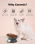 Elevated Cat Food Bowl, 5 Oz Ceramic Raised and Tilted Water Bowl, Anti-Vomiting Dishes for Small Dogs, Kittens