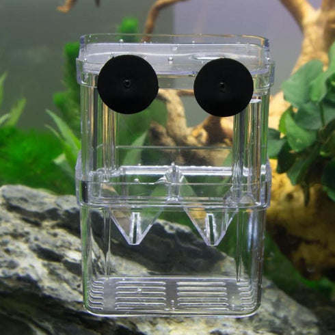 Quaziret Aquarium Fish Breeder Box Plastic Fish Isolation Breeding Box Hatching Incubator Box for Baby Fish Shrimp