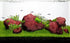 LANDEN Red Lava Stones, 16lbs, 3~10 inch, 11pcs for Aquascaping Terrariums, Reptile Enclosures, Fish Tank Decoration