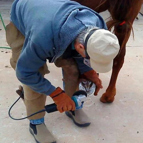 Hoof Trimming Disc, Professional Electric Hoof Repair Tool, Wood Turbo Carving Disc, 6/8 Teeth Metal Hoof Trimming