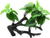 NIHUIFA Fishtank Artificial Plant Landscape Fish Tanks Decorations for Aquariums Terrarium Shrimp Ornaments Habitat