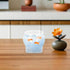 Desktop Fish Tank and Hydroponic Planter, Plastic Small Aquarium Container, Multipurpose Desktop Aquarium for Goldfish