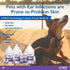 12oz. ZYMOX Advanced Enzymatic Leave-On Conditioner, for Pets & Animals of All Ages: Conditions, Detangles, Soothes
