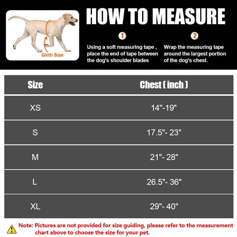 Service Dog Vest Harness and Leash Set, Animire in Training Dog Harness with 10 Patches, Reflective Leash with Soft