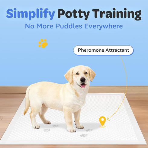 100 Count, 22"x22" 6-Layer Disposable Puppy Pads Pee Pads for Dogs Potty Training, Super Absorbent & Leak Proof, Odor