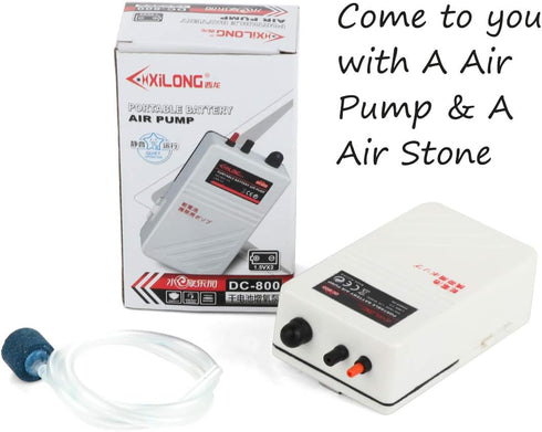 Battery Aquarium Air Pump, Quiet DC-800 Backup Fish Tank Air Bubbler, Portable Emergency Oxygen Diffuser